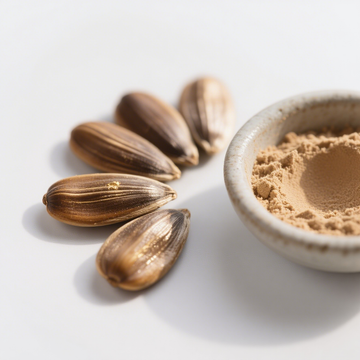 Linseed Seed Extract