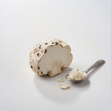 Tuber Magnatum Extract